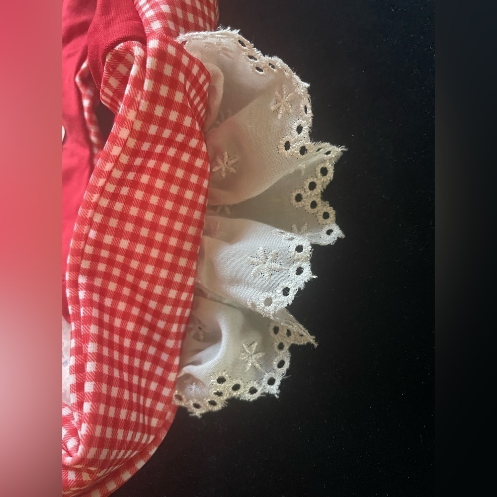 Lolli Bikini Bottom Red Gingham Bikini New with Tags! - Picture 3 of 14